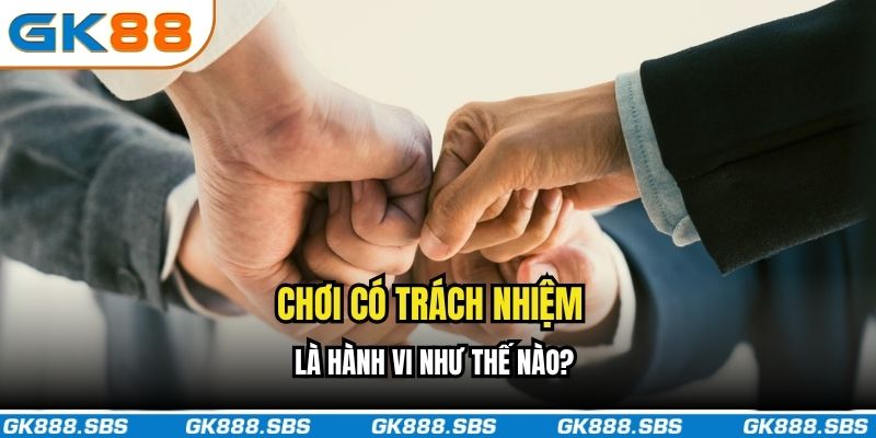 Chơi có trách nhiệm là hành vi như thế nào?