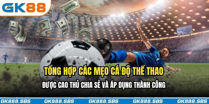 Tổng hợp các mẹo cá cược thể thao được cao thủ chia sẻ và áp dụng thành công