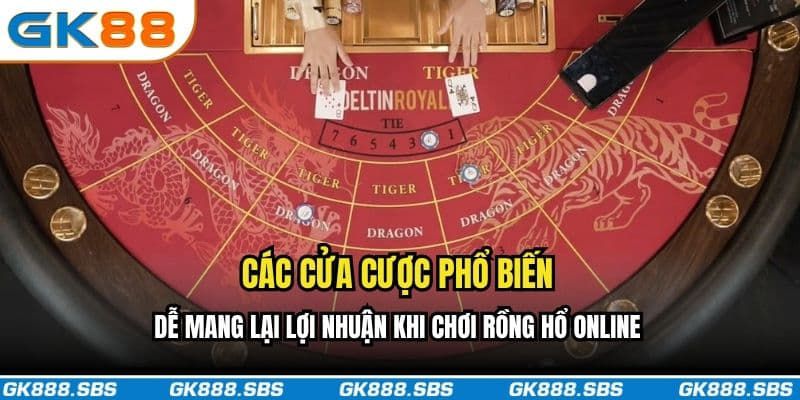 Các cửa cược phổ biến, dễ mang lại lợi nhuận khi chơi Rồng Hổ online